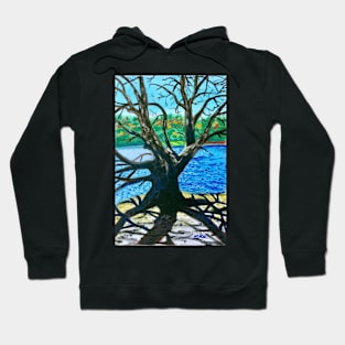 'Old Tree At Bass Lake' Hoodie